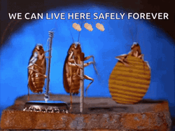 Dancing Cockroach Safely Forever GIF