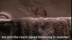 Dancing Cockroach Squad GIF
