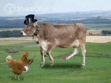 Dancing Cow And Chicken Playing Instrument