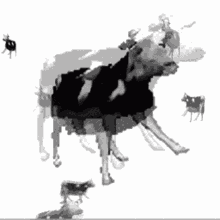 Dancing Cow And Glitching Duplicates