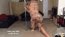 Dancing Dino Trex Mascot Pole Dancing GIF