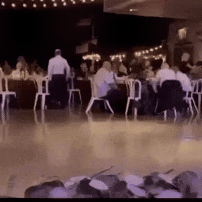 Dancing Dog In Restaurant With People GIF