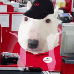 Dancing Dog Meme Tiktok Dance GIF