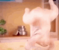 Dancing Dressed Chicken GIF