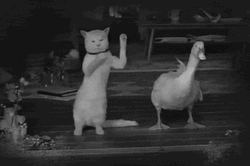 Dancing Duck Cat Swaying Black And White  GIF