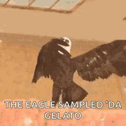Dancing Eagle Sampled Da Gelato GIF
