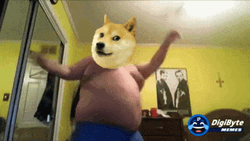 Dancing Fat Doge  GIF