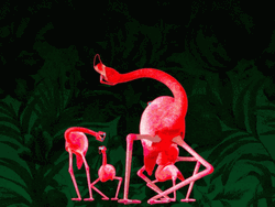 Dancing Flamingo GIF