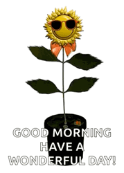 Dancing Flower Good Morning Have A Blessed Day GIF