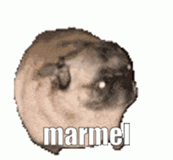 Dancing Freddy Pug The Dog GIF