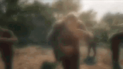 Dancing Gorillas Gods Plan GIF