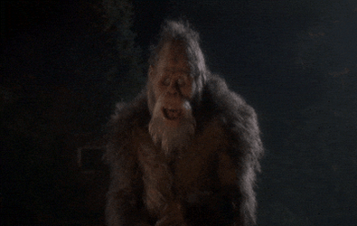 Dancing Harry Hairy And The Henderson GIF