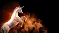 Dancing Horses It's My Birthday GIF