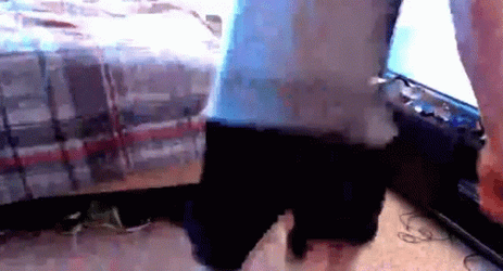 Dancing Ickey Shuffle In Front Of TV GIF
