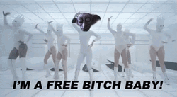 Dancing Lady Gaga Dobby Face Swap GIF