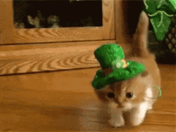 Dancing Leprechaun GIF