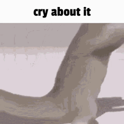 Dancing Lizard Cry About It GIF