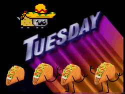 Dancing Multiple Taco Tuesday GIF