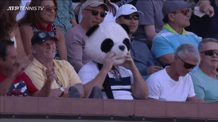 Dancing Panda Head Man In The Crowd GIF