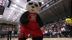 Dancing Panda Mascot Pax GIF