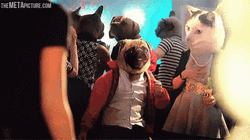 Dancing Pug Dog On The Party GIF