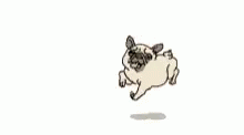 Dancing Pug Dog Skecth GIF