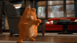 Dancing Shaking Garfield GIF