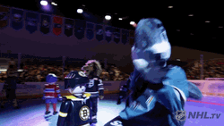 Dancing Shark Go For The Team GIF
