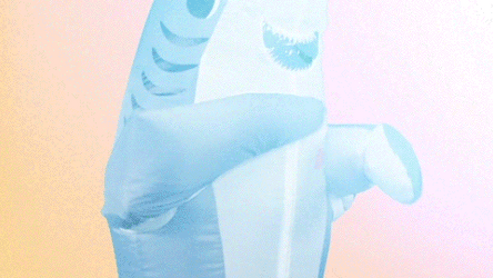 Dancing Shark Happy Dance GIF