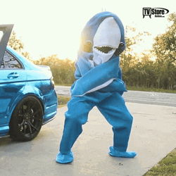 Dancing Shark On A Blue Car GIF