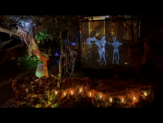 Dancing Skeleton On Garden Meme GIF