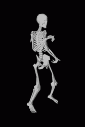 Dancing Skeleton With Swag Moves