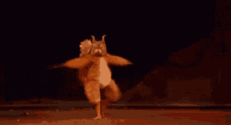 Dancing Squirrel GIF