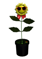 Dancing Sunflowers Animation GIF