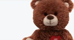 Dancing Teddy Bear Panic GIF