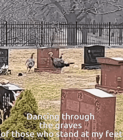 Dancing Through Graves Of Those Who Stand GIF