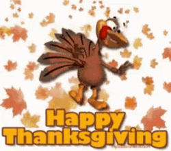 Dancing Turkey Animated Thanksgiving  GIF