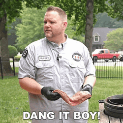 Dang It Boy Matthew Hussey GIF