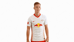 Dani Olmo Showing Off Back Jersey GIF