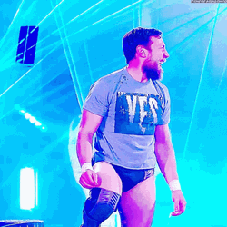 Daniel Bryan Yes Meme GIF