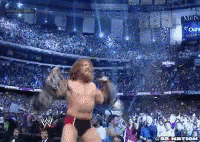 Daniel Bryan Yes Wwe Wrestlemania 30 GIF | GIFDB.com