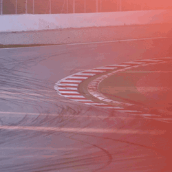 Daniel Ricciardo Racing GIF