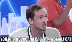 Daniil Medvedev Small Cat  GIF