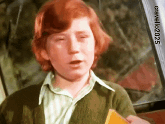 Danny Bonoduce Not A Chance GIF