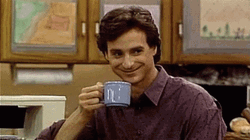 Danny Tanner Smug GIF