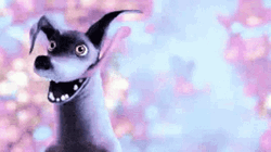 Dante Coco Perro GIF