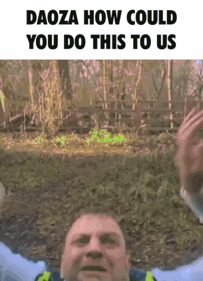 Daoza How Could You Do This Meme GIF