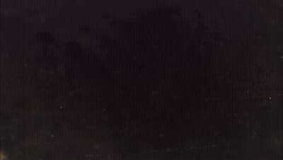 Dark Background The Walking Dead GIF