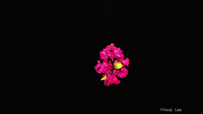 Dark Background With Words GIF