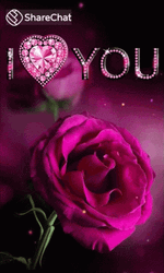 Dark Floral Pink I Love You GIF